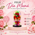 🌹 El regalo que hará Brillar los ojos de Mamá